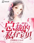 第一婚宠:总裁的私有宝贝