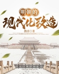 明朝的现代化改造