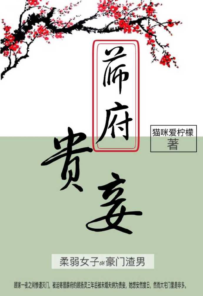薛府贵妾