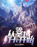 诸天:从圣域打卡开始