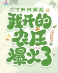 飞升回来后，我开的农庄爆火了