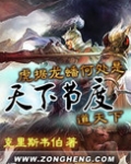 天下节度
