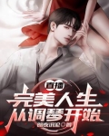 直播:完美人生从调琴开始