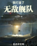 我打造了无敌舰队