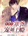 离婚后,寒爷宠她上瘾
