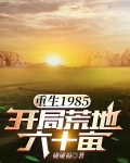 重生1985,开局荒地六十亩