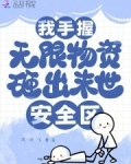 我手握无限物资,砸出末世安全区