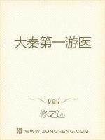 大秦第一游医