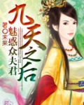 九天之后:魅惑众夫君