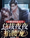 小甜妻娇软无力,总裁夜夜掐腰宠