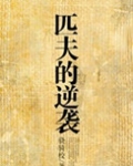 匹夫的逆袭