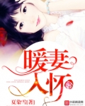 暖妻入怀
