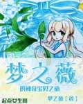 梦之薇的神奇宝贝之旅