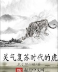 灵气复苏时代的虎