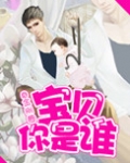 宝贝你是谁