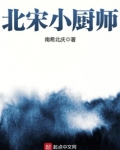 北宋小厨师