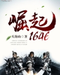 大明之崛起1646