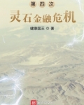 第四次灵石金融危机
