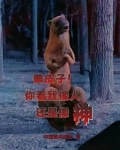人皮子讨封,黄皮子都懵逼了