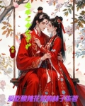 还珠之倾世之恋