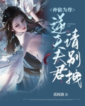 神偷为尊:逆天夫君,请别拽