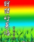 狩猎好莱坞
