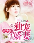 兽性盛宠:帝少疼入骨